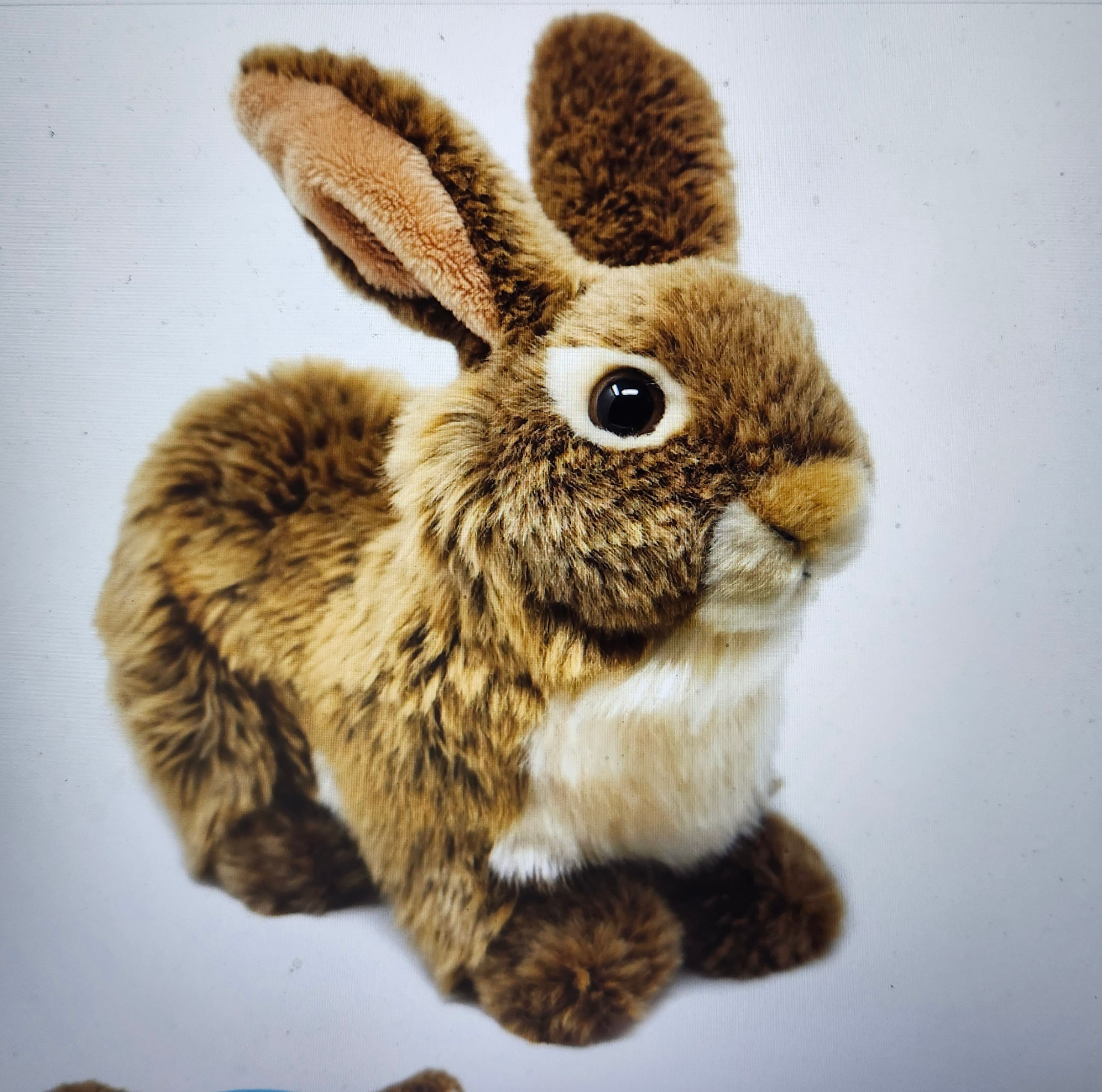 Brigids Woodland Hare 10"
