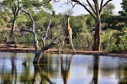 Luxuria Lifestyle International