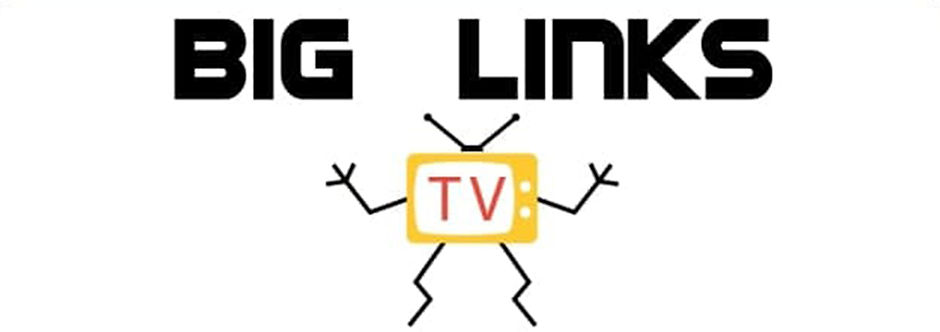 biglinks logo cover page.jpg