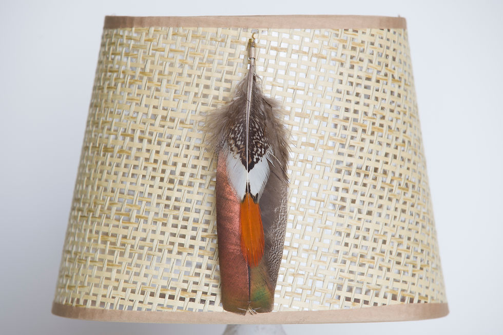 abat-jour en cannage avec plumes