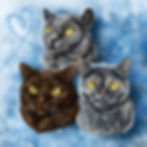 Katzen - Fientje, Gijsje & Saartje