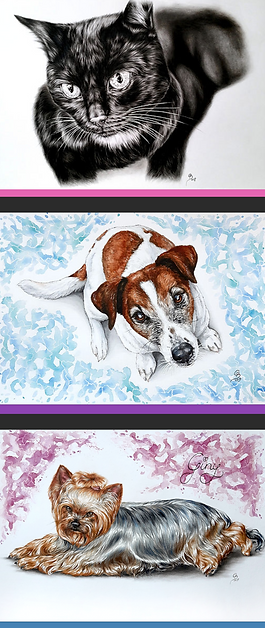 Bildschirmfoto 2019-04-14 um 19.52.24.pn