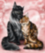 Valentinstag Liebespaar - D & C