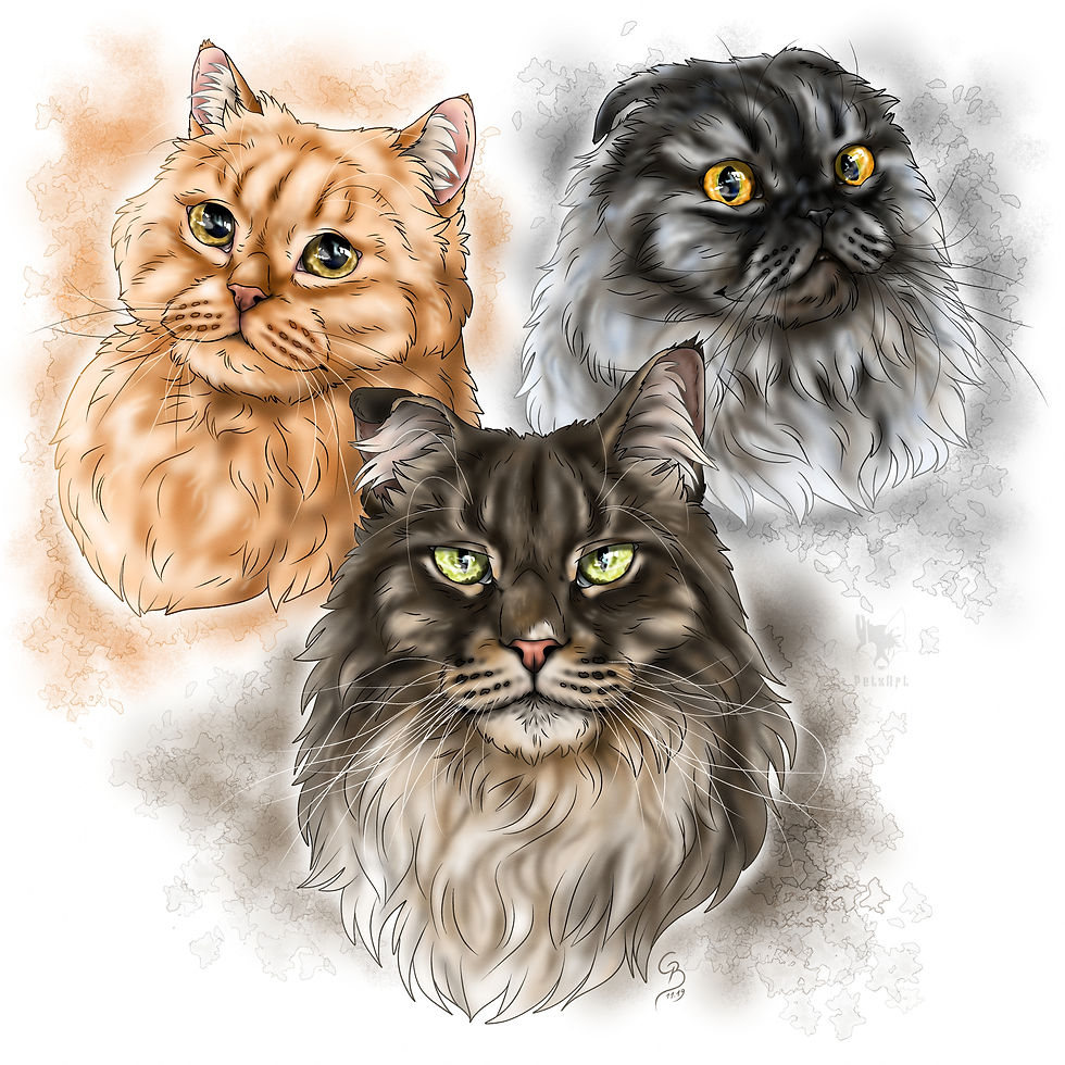 3 Katzen - Wallice, Antar & Ginger