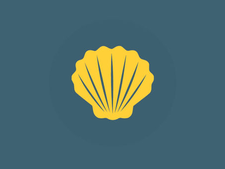 Camino shell