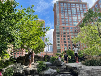 Teardrop Park, Battery Park City