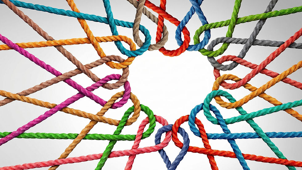 Intreccio di corde colorate che formano una rete connessa, simbolo di cooperazione e attività di supporto.