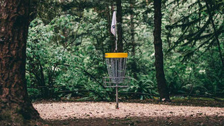 milo-mciver-disc-golf-cover.jpeg