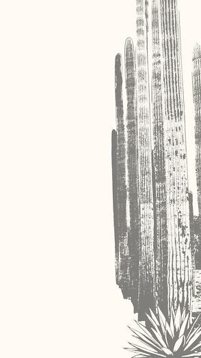 Image OAX 1.png