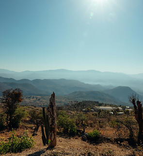 jorge-alberto-vega-barrera-O_y2P-pqvho-unsplash.jpg