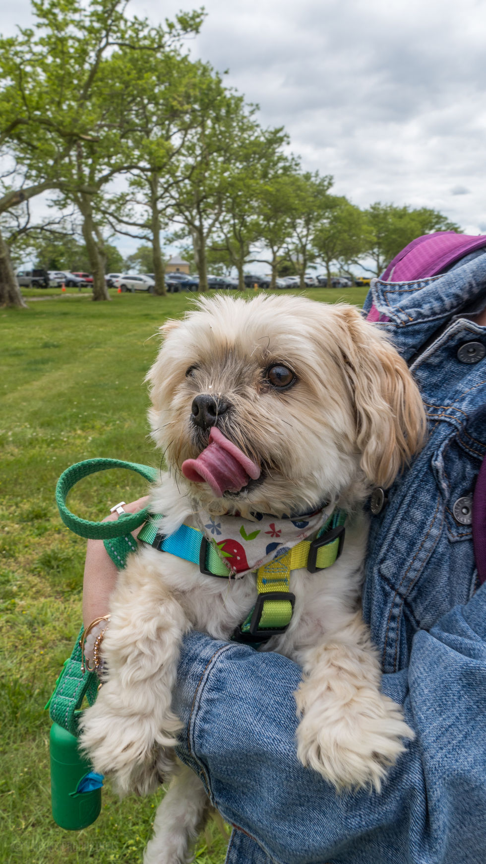 Ocean Fun Days Edited-14