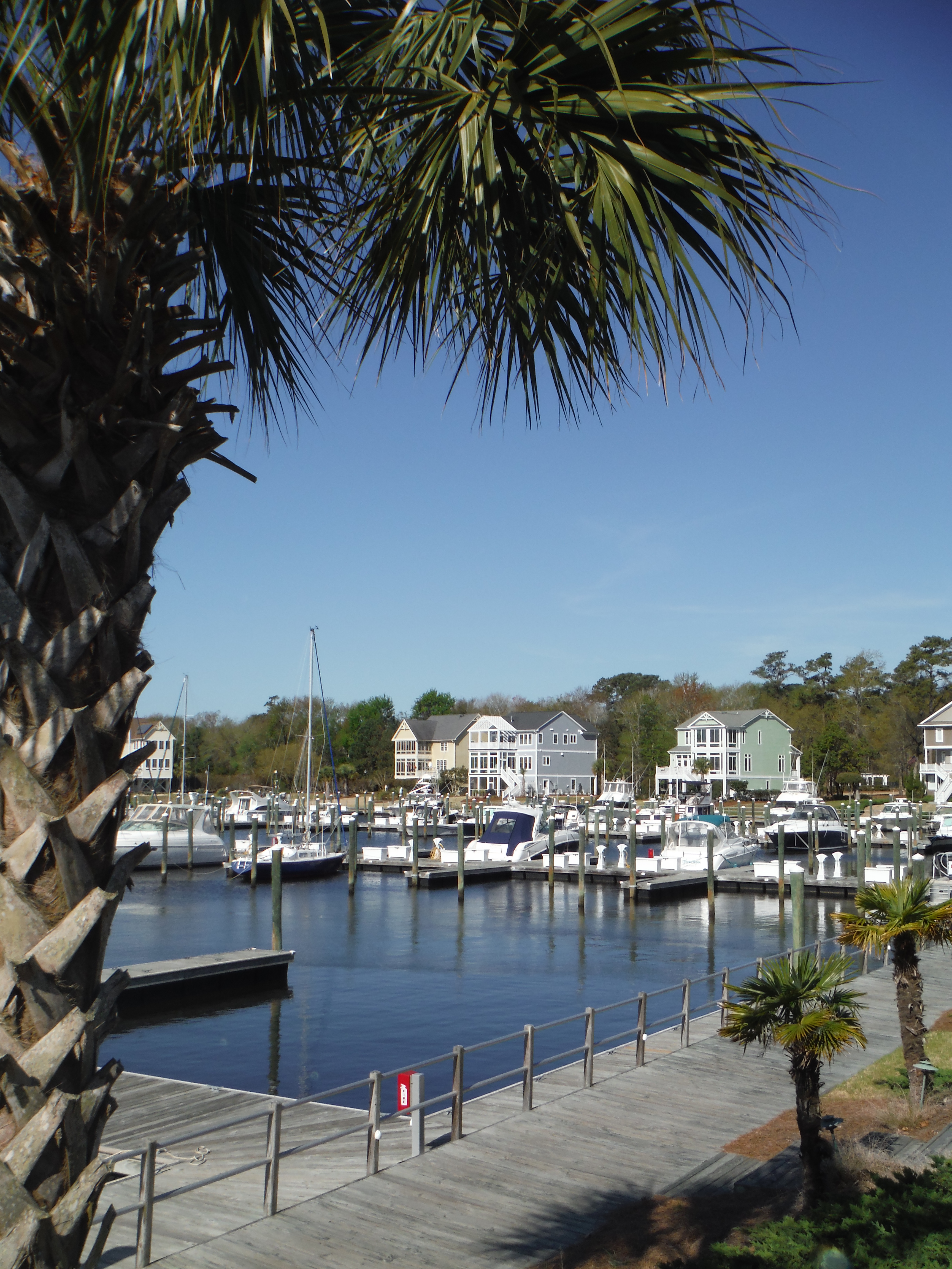 St. James Plantation littlefieldbeach