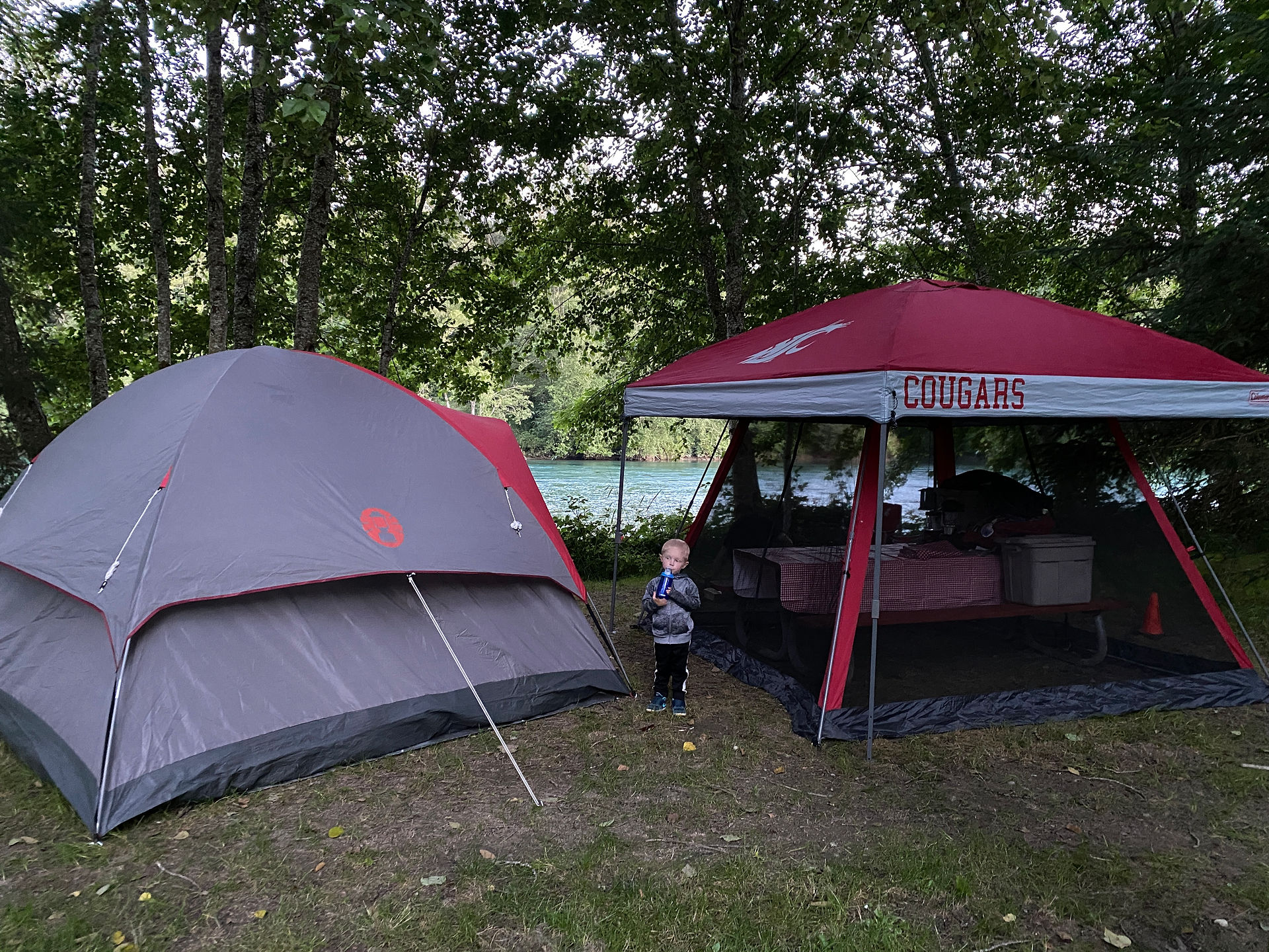 Little boy stands among the tent and screen canopy at a campsite along the Skagit River.