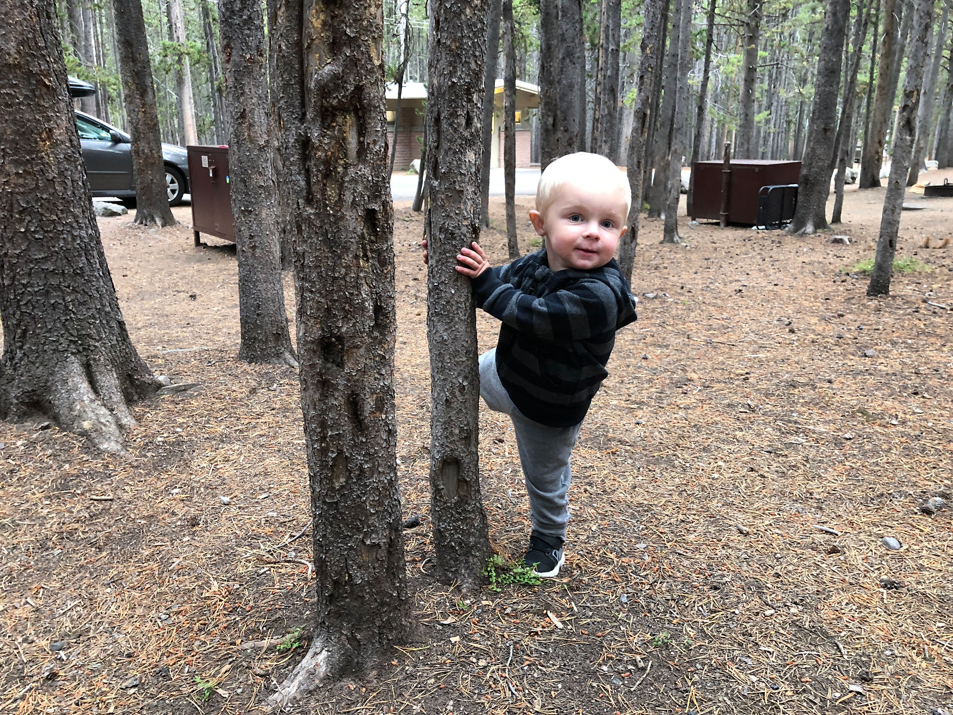 Little boy playing in the trees at Canyon Village Campground
