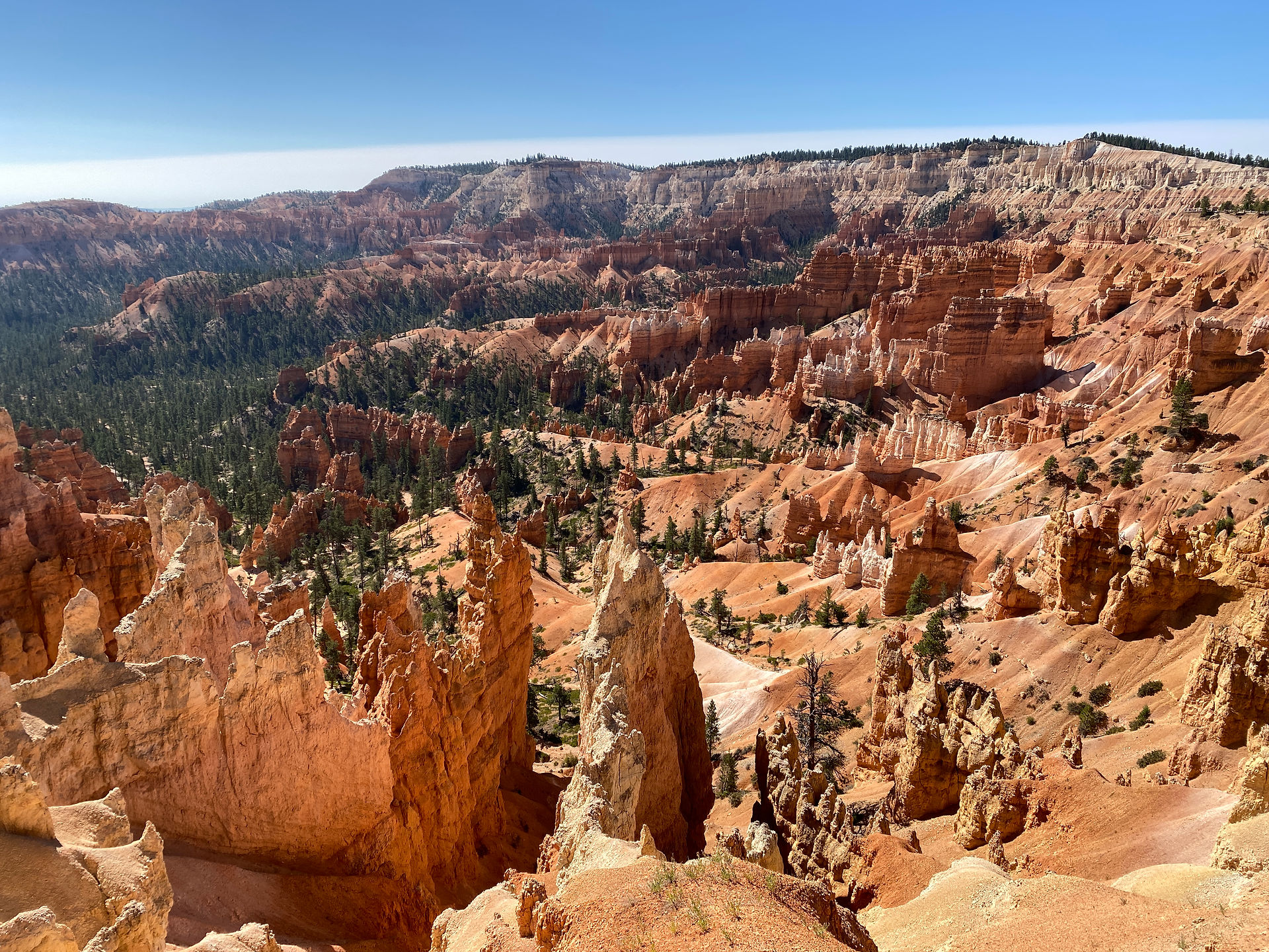 Hoodoos and red rock formations fill the view from Sunrise Point in Bryce Canyon.