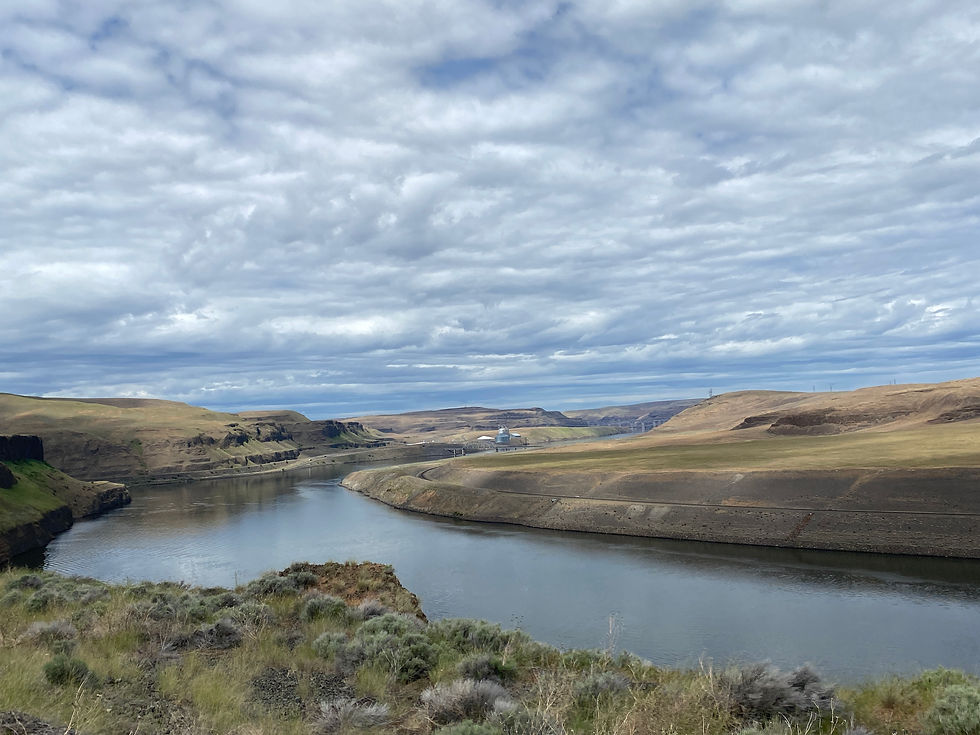 Puffy clouds over the Snake River surrounded by rolling farmland.