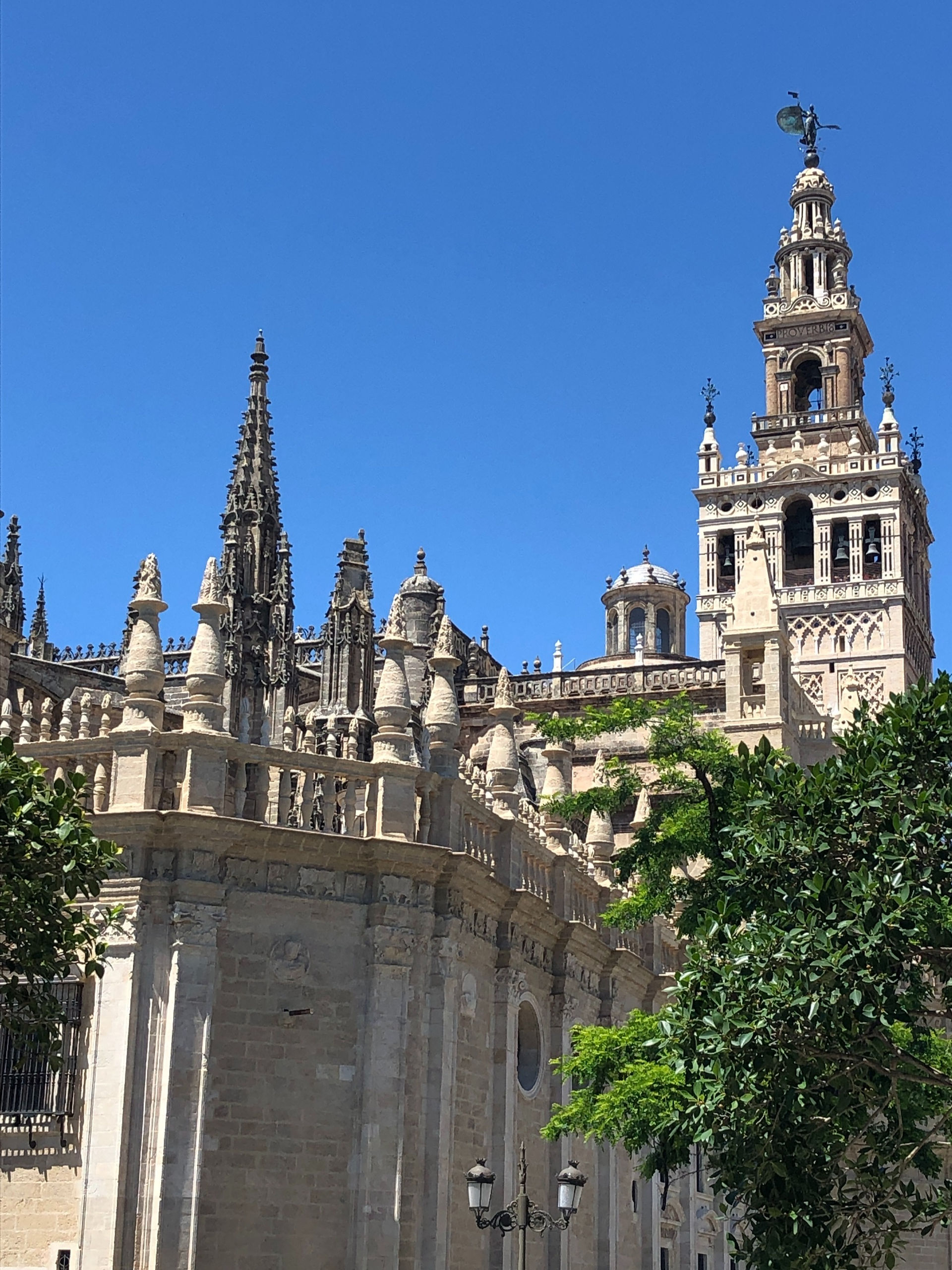 Ornate and beautiful Seville Cathedral