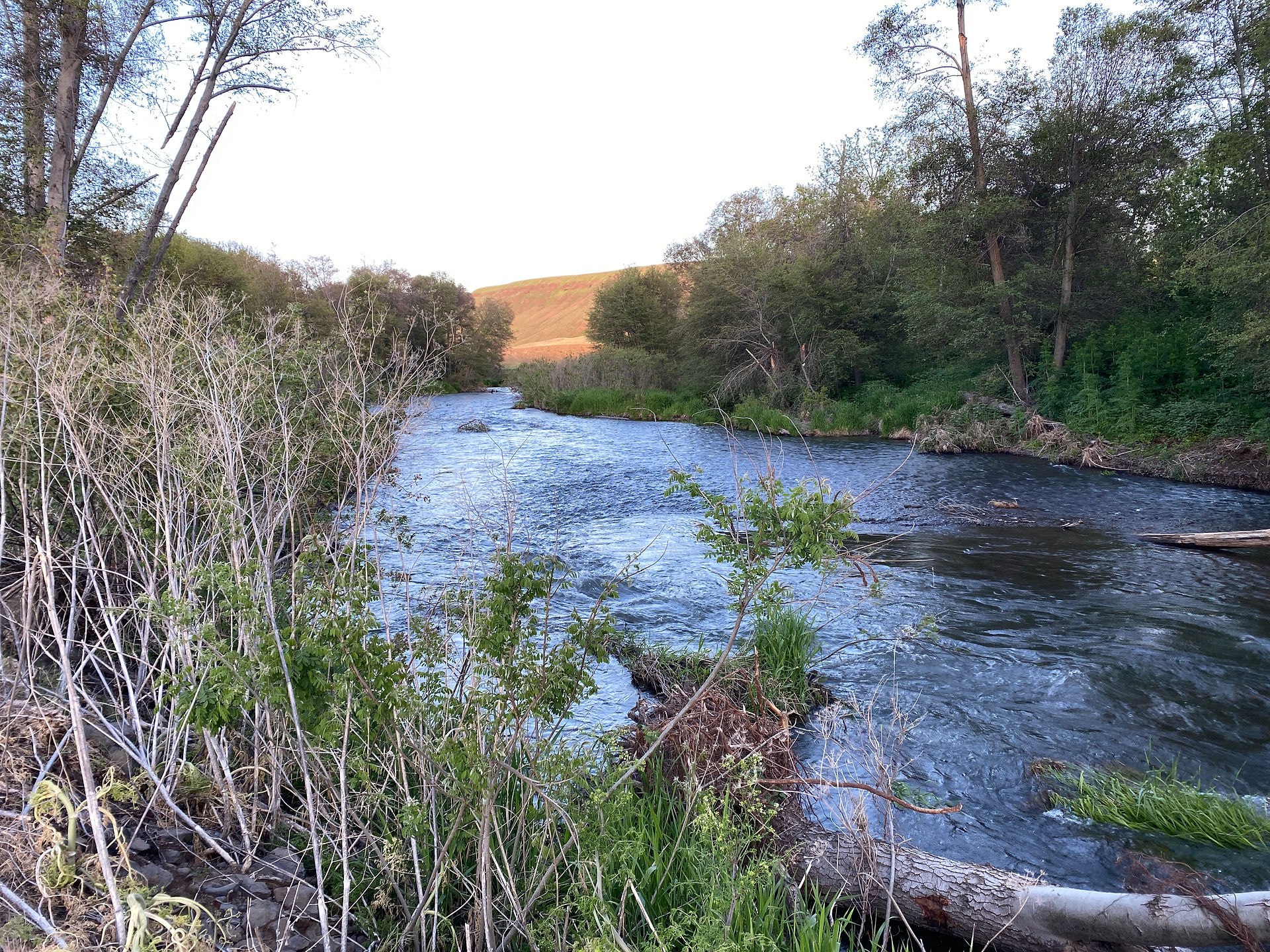 The Tucannon River at the Tucannon River RV Park.