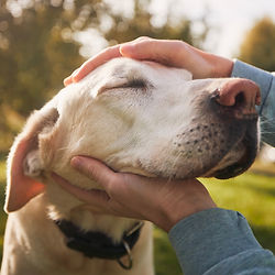 Ways to Give - Website Images-7.jpeg