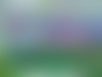 Exposición: TZINTZUNTZAN, Lugar de los colibríes - nuevamente