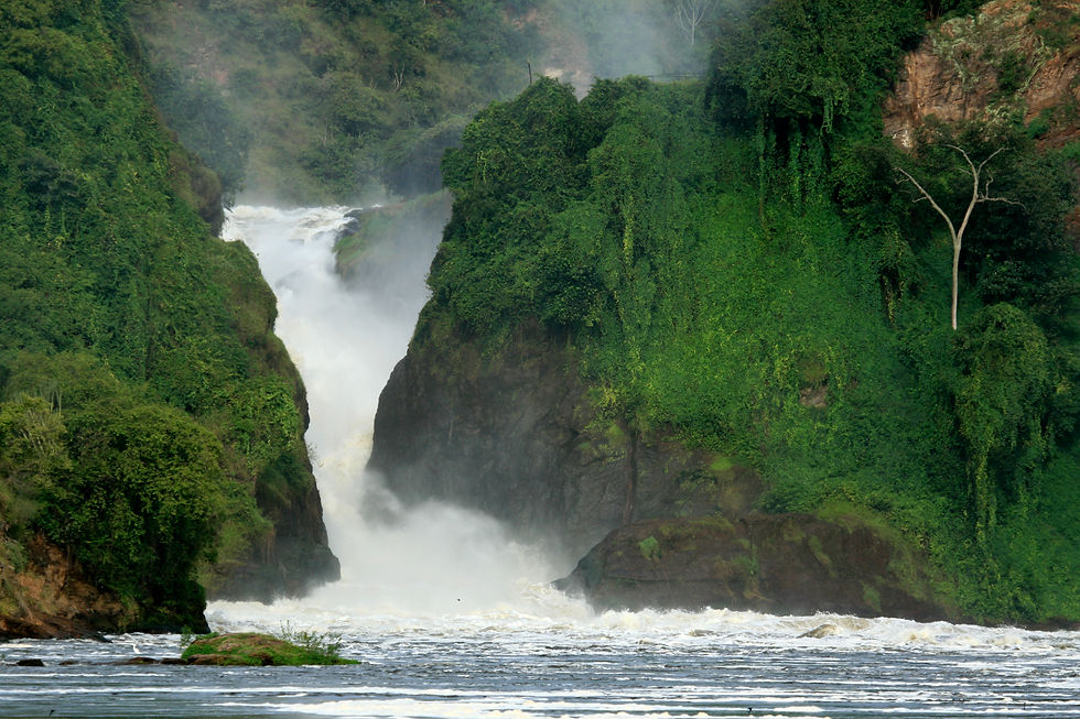 Murchison Falls NP, Uganda