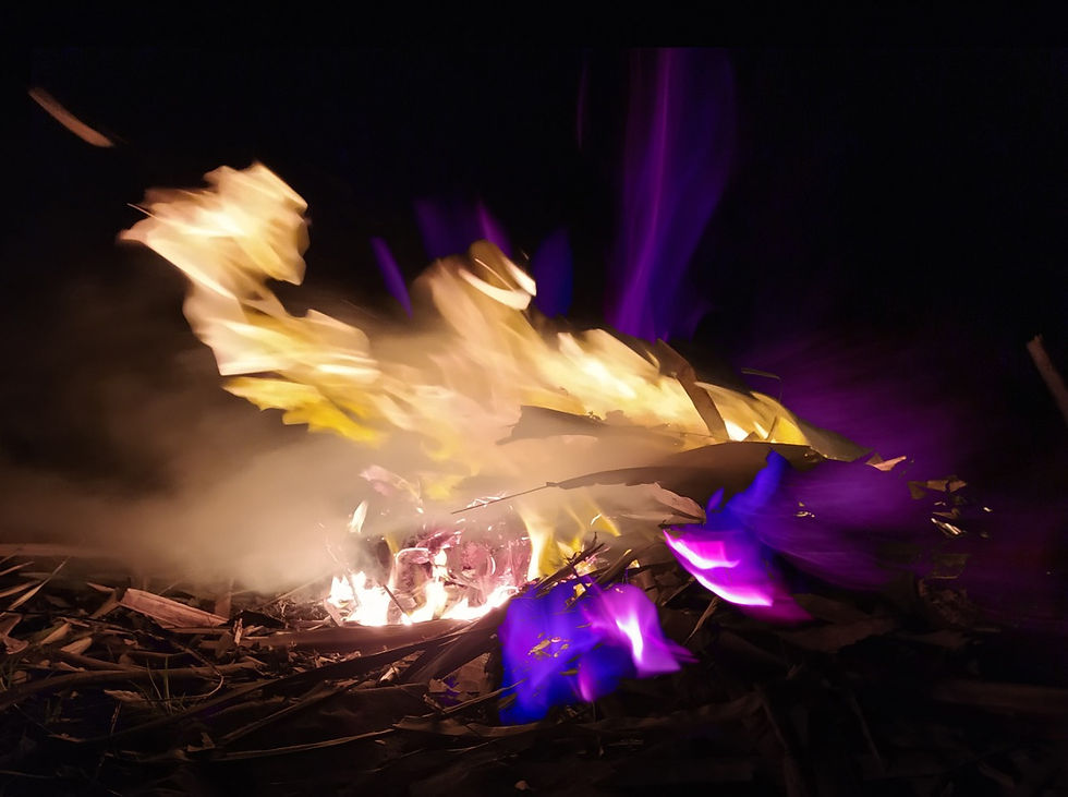 Fuego Fotografía Leslie Saenz Paola Iridee