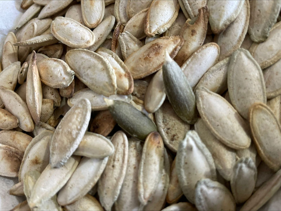 Miniatura: Semilla de Calabaza Tamala