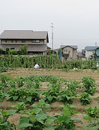 IMG_2996.JPG