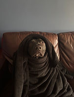 IMG_3891.jpeg