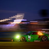 Rexy - AO Racing.jpeg