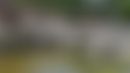 4 Delemont, Saint Ursanne