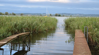 5 Porrentruy, Etang de la Gruere