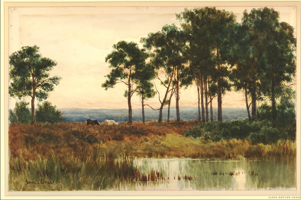 Thursley Common; pool in foreground, beyond two cows at left near trees, and in background surrounding countryside. Watercolour. British Museum 1957,1012.14