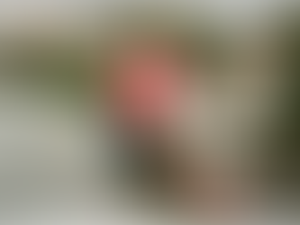 Thursley Christmas Traditions of past and present