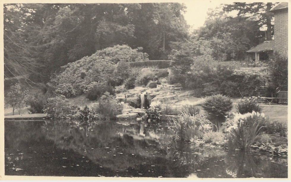 Rock Garden and Pond