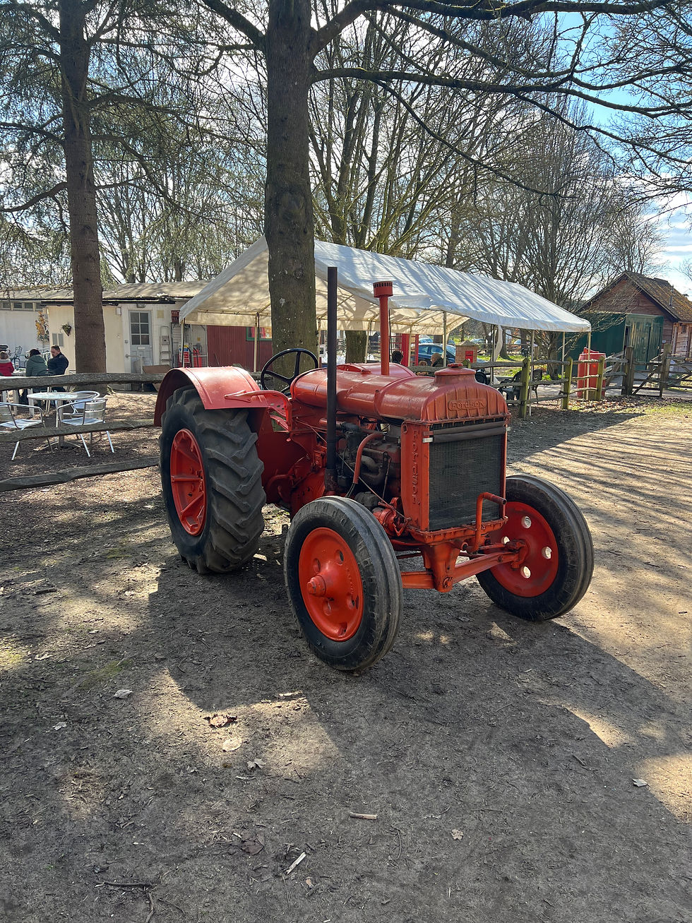 Fordson Model N, built 1939, one of the last in orange as it was changed to green after war broke out.