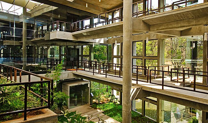 Indoor Green Wall Biophilia
