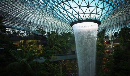 The Rain Vortex - Biophilia