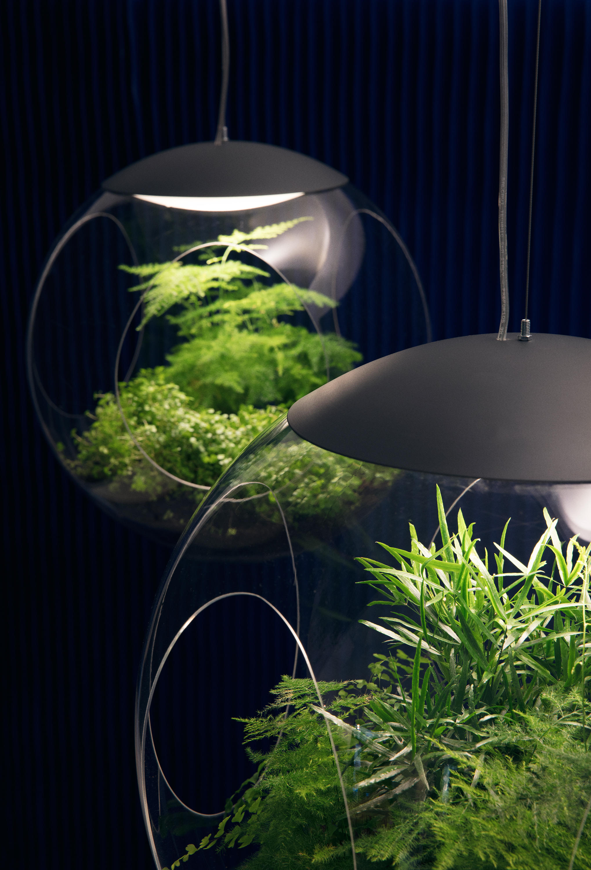 Biophilic Design | London | Biophilia Lighting