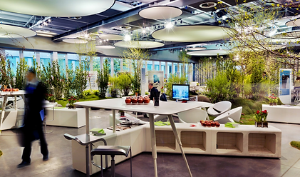 Biophilic Office Planting