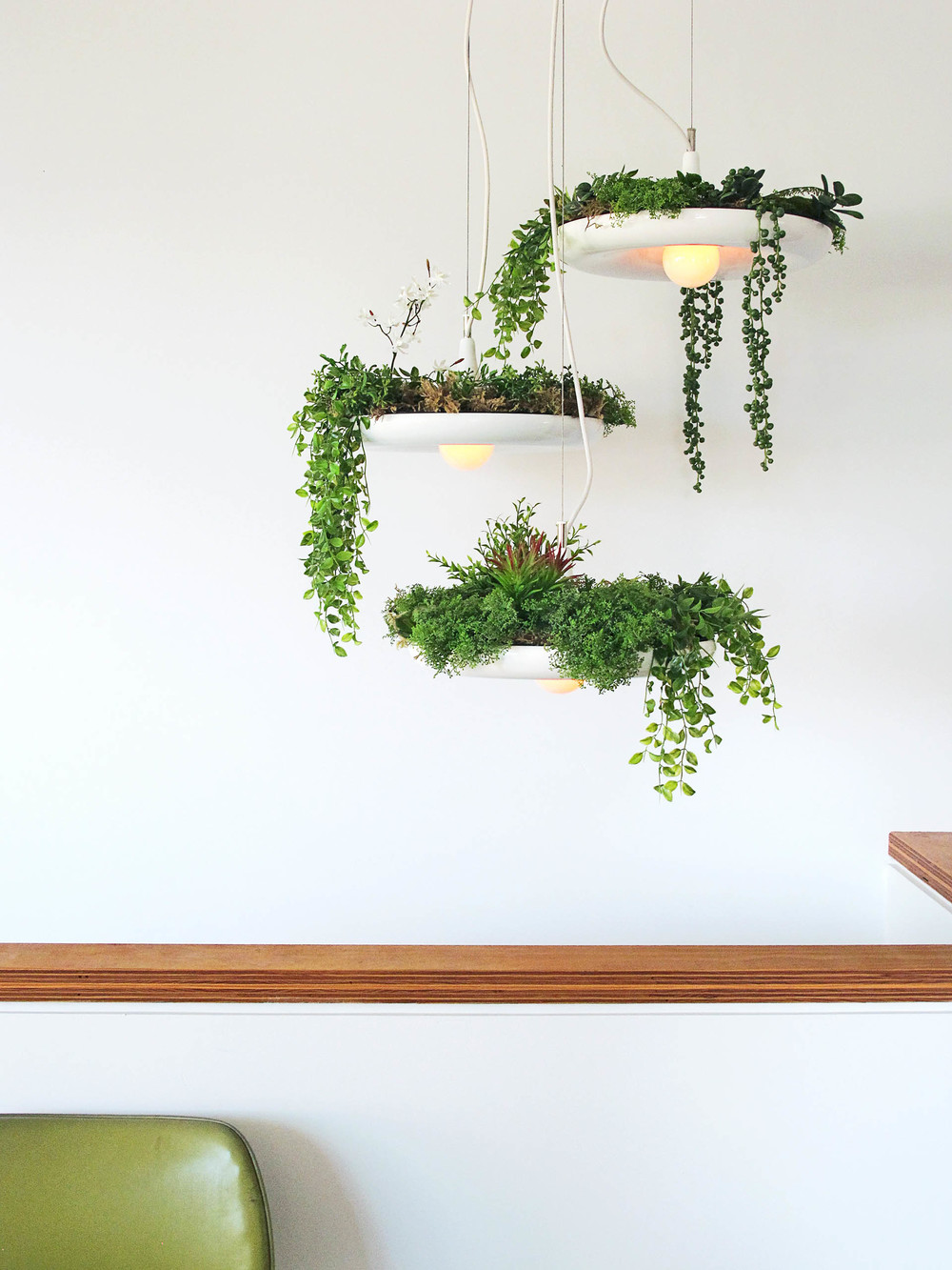 Biophilic Design | London | Biophilia Lighting