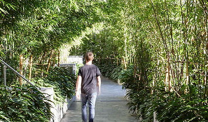 Biophilia Corwn Group