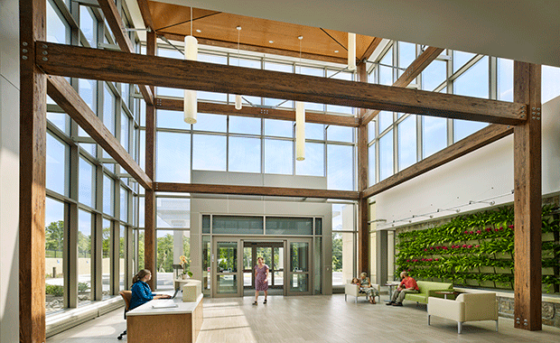 Living Wall Biophilia