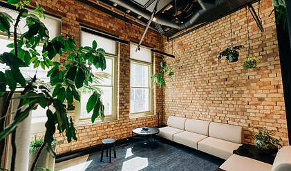 Living Arup, 15 Galway Street, Hayman Kronfeld Building, Biophilia, Biophilic Design, Office Design