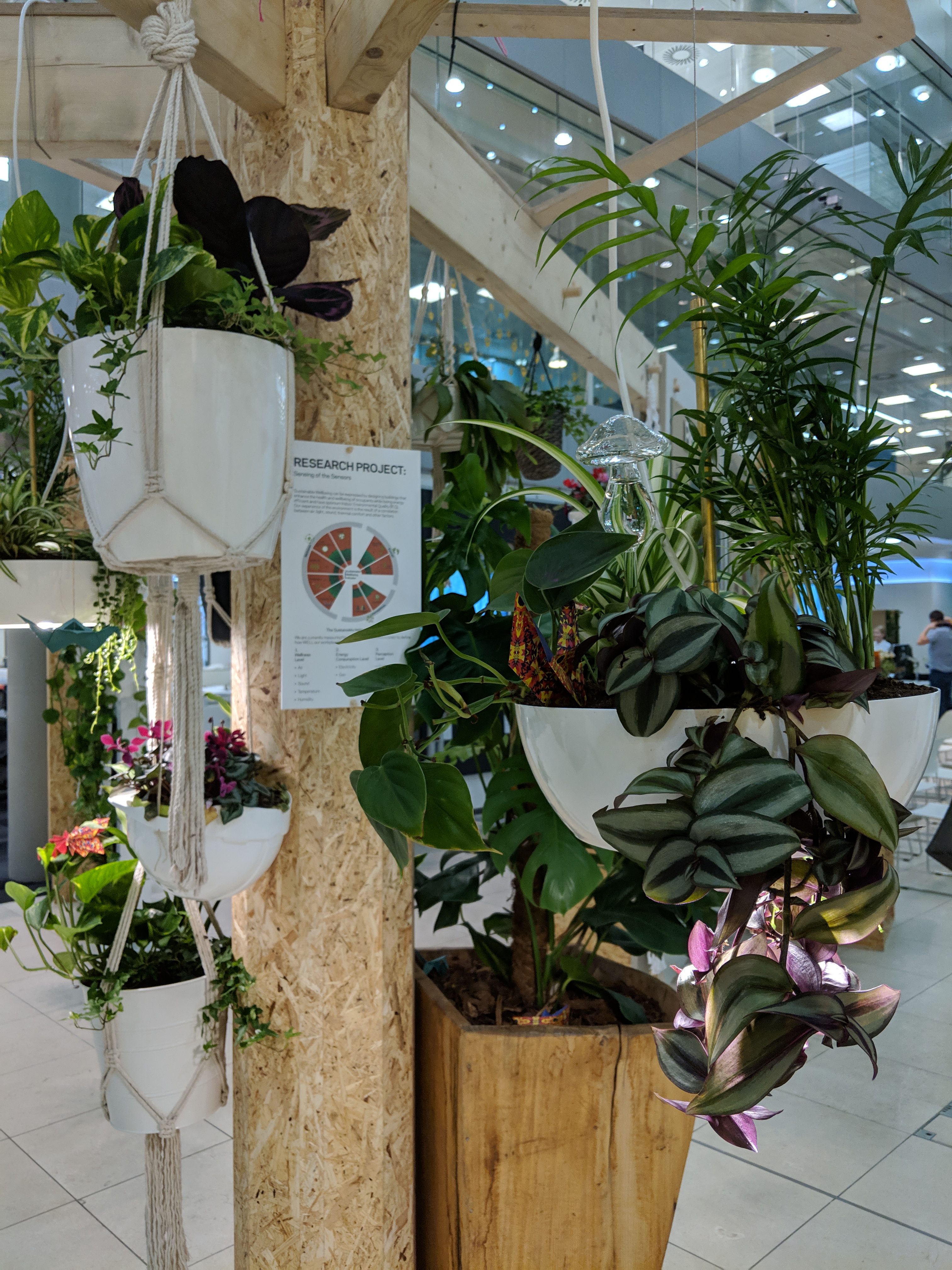 Biophilic Design | London | Planting