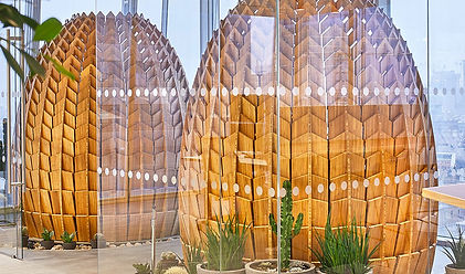 Biophilic Indoor Planting Schemes