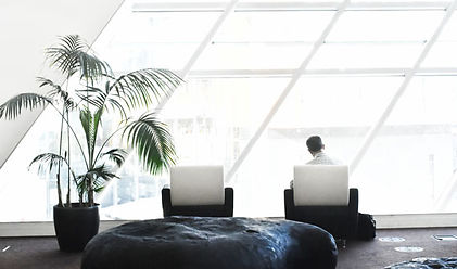 Office Design Biophilia Multisensory