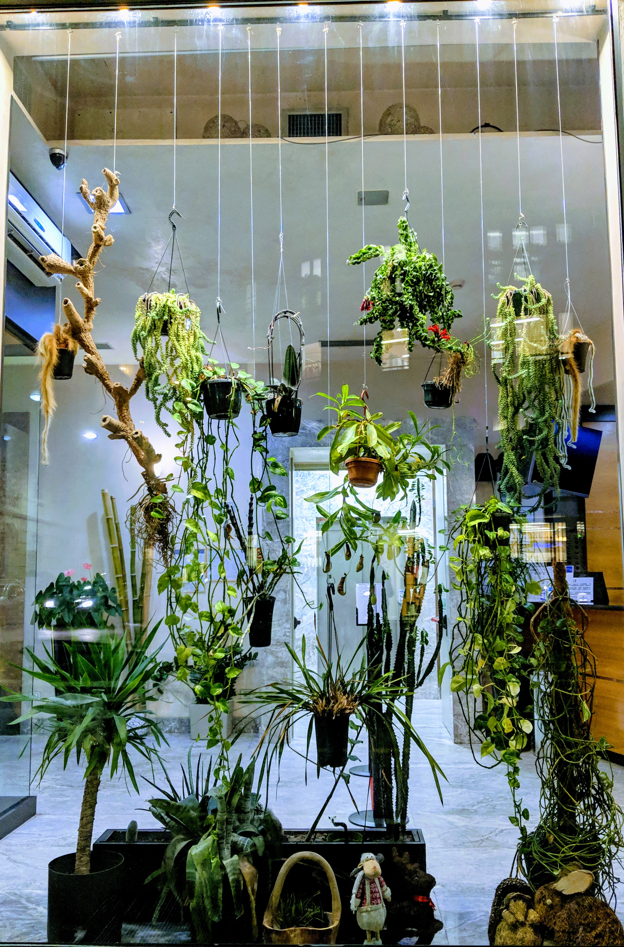 Biophilic Design | London | Planting