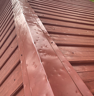 Hail and wind storm damage