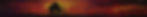 Rhino Banner 225.jpg